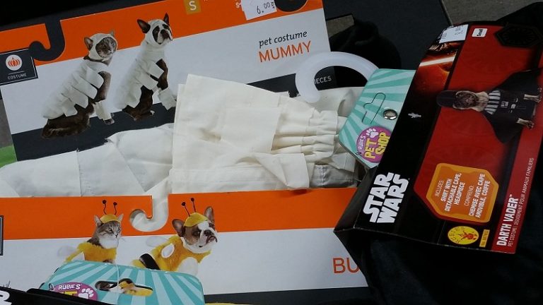 halloween-costumes-for-pets