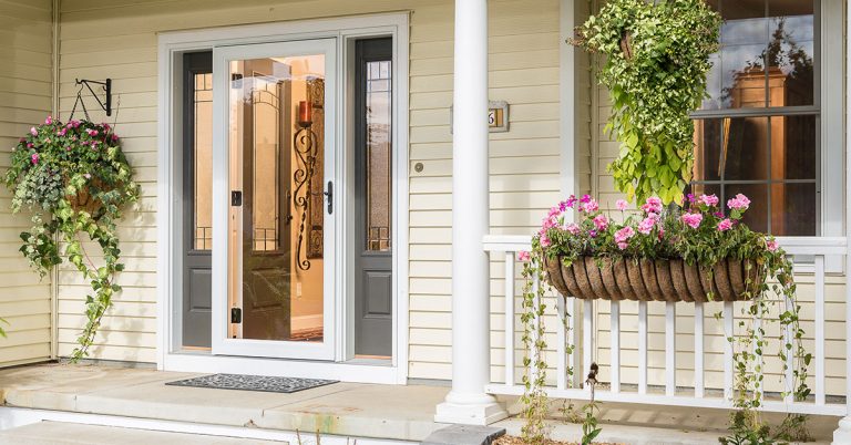 Storm door