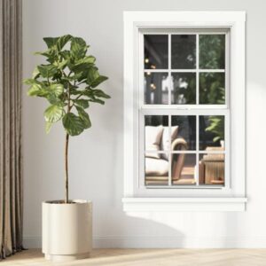 white replacement window